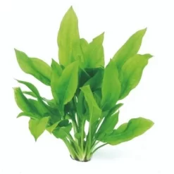 DENNERLE Wasserpflanzen-Set "100 L Basic" -Tierbedarf Fach Geschäfte 02b8f359ae623b73f64060ae2ce1756b73f4625c 1c6a3f43a83e405eff9db3a1d8b1c059c35c0ca8