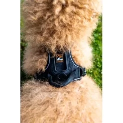 Fressnapf Tracker Pathfinder Geschirr Set S -Tierbedarf Fach Geschäfte 0473ecbb0fe55fb7883a57b7591ab570c5a5aaa7 1409260 2