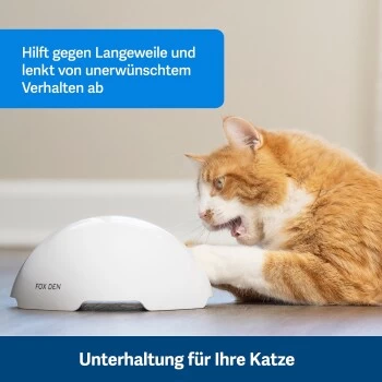 PetSafe Automatisches Katzenspielzeug Fox Den 6 PetSafe Automatisches Katzenspielzeug Fox Den – Bild 6