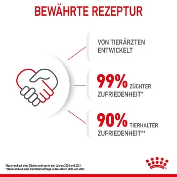 ROYAL CANIN Kitten 4 Kg 7 ROYAL CANIN Kitten 4 Kg – Bild 7