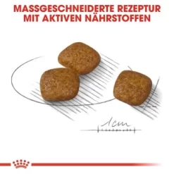 ROYAL CANIN Urinary Care Mini 3 Kg -Tierbedarf Fach Geschäfte 0bc423a77c4e2aa8ca4d207cd5c02d82da5bdf80 78d23ee5f85411af5e1f2d5942961d709e129600