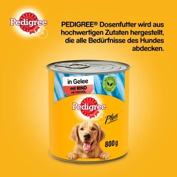 Pedigree Adult Plus 12x800g Rind Mit Fischöl, In Gelee 2 Pedigree Adult Plus 12x800g Rind Mit Fischöl, In Gelee – Bild 2
