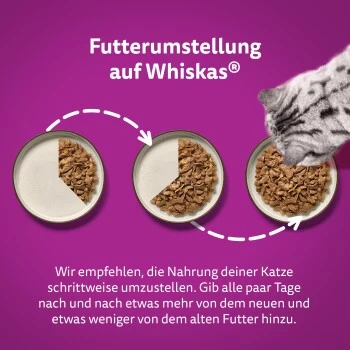 Whiskas Mega Pack 1+ Klassische Auswahl In Sauce 40 X 85g 6 Whiskas Mega Pack 1+ Klassische Auswahl In Sauce 40 X 85g – Bild 6