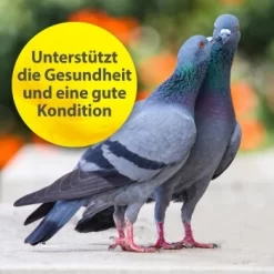 Quiko Multivitamin 375 G 7 Quiko Multivitamin 375 G -Tierbedarf Fach Geschäfte 104df2b21f8fd9e32b99e367a9a5b3569dbad191 1387633 de DE f867bf42cdcdb7e6959667b1210fedd6d7d4c069gH7Wsa