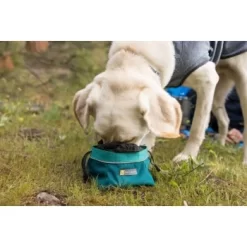 Ruffwear Quencher Cinch Top™ Napf Entenbraun L 13 Ruffwear Quencher Cinch Top™ Napf Entenbraun L -Tierbedarf Fach Geschäfte 12c045082a44359f6775d3e7005e1039151a5ded 1651468 de DE 65c7c00ffa4a6b339dfbdd20a6b57d674256cb44oMcOyM