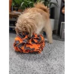 TrendPet Schnüffelball Orange -Tierbedarf Fach Geschäfte 150c7485ceb45f446eae94d286af034396b6b839 1347789 de DE 0d959a3cb36067968769c2d102a66fcc1f59a724hVebVb