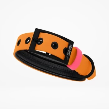 THE DOG IDEA Biothane Halsband Peach Pink M 1 THE DOG IDEA Biothane Halsband Peach Pink M