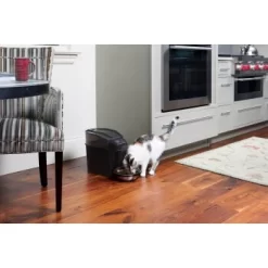 PetSafe Simply Feed Futterautomat -Tierbedarf Fach Geschäfte 162adf6a7738d5bf21e1a8f543a00d8bc113bc69 1239482 de DE b44f850e1b411ed2fa4a4391f952beef1a1d7530wtxP0K