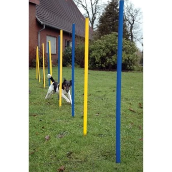 Dobar DOBA 12-teiliges Slalomset, Agility 2 Dobar DOBA 12-teiliges Slalomset, Agility – Bild 2