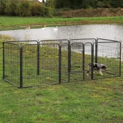 Lionto Freilaufgehege Welpen Gitterfreil 60 Cm, 1 Cm, 80 Cm -Tierbedarf Fach Geschäfte 171f00e05cda40f3e05b33366fa7ef984b90dc3e 1498016 de DE c3ef08156eb7c2d3482f347f8b6865467df3d9662zUSSH