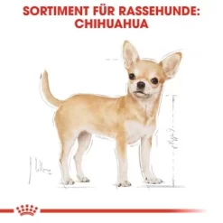 ROYAL CANIN Chihuahua Adult 12x85g -Tierbedarf Fach Geschäfte 197d45cb7575160e4d31cd104a5e5841d9299ef7 f715e0902cfbc2b880c867fd6b8875c02d62af99