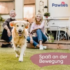 Pawlie's Gelenk Fit Tabletten Hund (100 Stück) -Tierbedarf Fach Geschäfte 1c6a6429b71eab5415d0214c381f07051a1fc258 1626201 de DE fc246e46dc05978124c2e49ef6a7667224e432edKNFNet