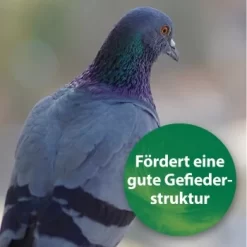 Quiko Spirulina 250 G 6 Quiko Spirulina 250 G -Tierbedarf Fach Geschäfte 1d197f2e004bf765dcdb99f3cb777c57285c03ed 1387640 de DE 185e18e93f54cb0130b70ffb741d9e21c1c0250eZ39B4c