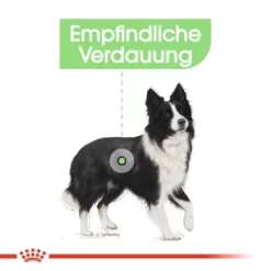 ROYAL CANIN Digestive Care Medium 12 Kg -Tierbedarf Fach Geschäfte 1e02a6b838f0788c7a008149b787240ab36ed38b 1376251 de DE uahs 4