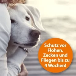 Ardap Flohspray Zur Anwendung Am Tier 250ml -Tierbedarf Fach Geschäfte 1e38b7747570a91b3fd009f3974005664ac2d015 1227735 de DE 3ce23e78efb3686272f02c09e5ca6ade74ba7902gmBWUo