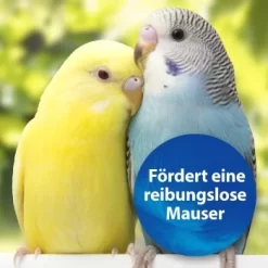 Quiko Biotin M 150 G: Unterstützt Die Mauser Von Ziervögeln 6 Quiko Biotin M 150 G: Unterstützt Die Mauser Von Ziervögeln -Tierbedarf Fach Geschäfte 1edb379122303e5bd6851c962595f5914d97ad79 1386532 de DE d423967889f663d8a9511c722121183787861b26YUo6R2