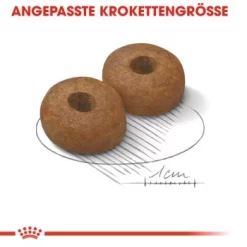 ROYAL CANIN Maxi Ageing 8+ 15 Kg 11 ROYAL CANIN Maxi Ageing 8+ 15 Kg -Tierbedarf Fach Geschäfte 1f74576074b08980312d66192abbc5a6880d5273 2360df0e5dfbf003993ef0adda759c1148140b01