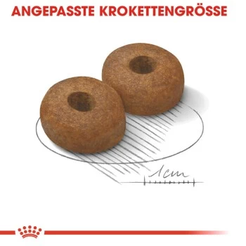 ROYAL CANIN Maxi Ageing 8+ 15 Kg 5 ROYAL CANIN Maxi Ageing 8+ 15 Kg – Bild 5