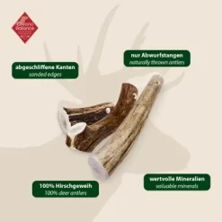 ChronoBalance Geweih Ganz (XL) 2er Paket -Tierbedarf Fach Geschäfte 227b4896b023f1721ec9ccfcda37ed549cced470 1418693 de DE 97f6faa2e066481717c6e9970bb381a3824303b8vU2fW5
