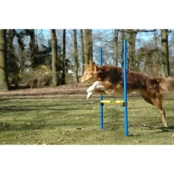 Dobar 3-teiliges Agility Sprung-Set,, Inkl. Tragetasche 7 Dobar 3-teiliges Agility Sprung-Set,, Inkl. Tragetasche -Tierbedarf Fach Geschäfte 23438a1c89953580debb447a4f2a6705cf109122 9daba483a29d35b05cf9df2cf0269c15e7db3ed2