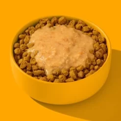 Fred & Felia FRED Smoothie Huhn Mit Kurkuma 10 X 200g -Tierbedarf Fach Geschäfte 236bc2fb7203a95703c196a9d37d1a264cc266a0 1428005 de DE 1d687c6cc508a78e5eeee2cd9e468729594e5ec1PmlLMC