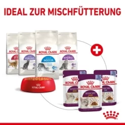 ROYAL CANIN SENSORY Smell In Gelee Für Wählerische Katzen 12x85g -Tierbedarf Fach Geschäfte 25c7f2b0017090b05172a164b94d24299f626039 5b9b3776479c43ed4449b8634046c65b7d96c1fe