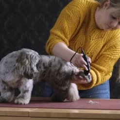 Moser Schermaschine REX MINI -Tierbedarf Fach Geschäfte 26311403a9d7b70c3de3d6d478c9b7979d52d818 8d6659a959561a0e293ec7332a89fd631110efed