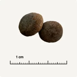 SELECT GOLD Sensitive Maxi Junior Lamm/Lachs/Kartoffel 4 Kg -Tierbedarf Fach Geschäfte 28af395c49e943aa9ab48faf021ceebb2dad145e 1001718003 de DE 6