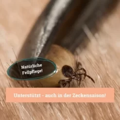 BeG Buddy Fellspray Zecke 9 BeG Buddy Fellspray Zecke -Tierbedarf Fach Geschäfte 297119792bee87c54c4080010b8d6149223d300c 1457254 de DE b0426d8711049b0aafb9b17aaa93a89672536d279Kmo8x