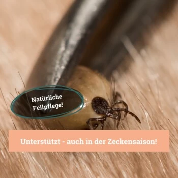 BeG Buddy Fellspray Zecke 4 BeG Buddy Fellspray Zecke – Bild 4