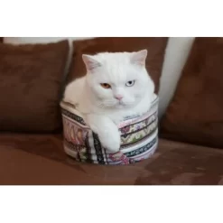 Canadian Cat Company Katzenschiff LUNA -Tierbedarf Fach Geschäfte 2a794931f9263820d298c92486fc08c7b5fe3a35 1412669 de DE 46780a4b5da8fe052e5be00462eb02991658c41f2ZgeMs