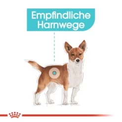 ROYAL CANIN Urinary Care Mini 3 Kg -Tierbedarf Fach Geschäfte 2b44c24a913a750238f161371c80dc068835fe75 18b243f946f2c3e1c0215e2708a05a201934c56b