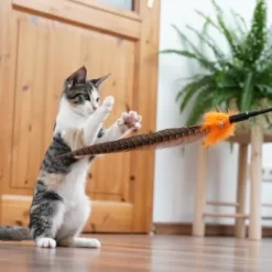 Schlitzohr Federwedel Birdy 3er Pack -Tierbedarf Fach Geschäfte 2e08cedc855b4fe4d22372cc22f48cef3188be3c 1659562 de DE 4a8ba2ccf79071630769db1080a8b14fba93fcb3EKX8X8