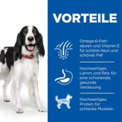 Hill's Science Plan Medium Adult 1-6 Lamm & Reis 18 Kg -Tierbedarf Fach Geschäfte 2eb5e8e2e65a629fb02a740e6a3d088b7c2bb774 52742025865 4
