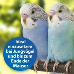 Quiko Plus 400 G: Extra Proteine Für Jungvögel -Tierbedarf Fach Geschäfte 3190f3828e35083694537fdd840250512177f97d 1386524 de DE a58e247c1fb3092732f92fc759d1dabd3a4811c5GIUhYl