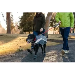 Ruffwear Knot-a-Long™ Leine Schwarz -Tierbedarf Fach Geschäfte 31b75f581e914d0749a2fd78fdc8cb8ed27fa7fb 1651423 de DE 8dd992e79dfdbf8bc09b0d5cea646eb794432ad9vO6m8b