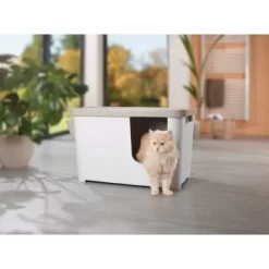 MORE FOR Katzentoilette XXL Titan 8 MORE FOR Katzentoilette XXL Titan -Tierbedarf Fach Geschäfte 331a65ecbdbda6a54304894f23caf93293414f9a 41a7dcb3b92b8da7531785b268f381c1b25bbf04