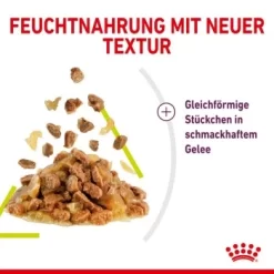ROYAL CANIN SENSORY Smell In Gelee Für Wählerische Katzen 12x85g -Tierbedarf Fach Geschäfte 3469e2789c9f64bff26f87bbac39ba0a4ed440ea 45f33cf5dbb691236fc67f7b11a07842abb35bb4