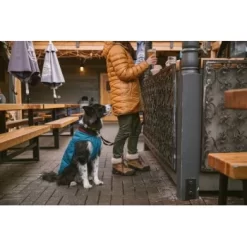 Ruffwear Stumptown™ Hundejacke Blau XL -Tierbedarf Fach Geschäfte 359cbacf82d705be3919f1d9ff6060950d99f9f0 1370021 de DE db936eaaf7df218a109c67b8bbc4b3ab224548c6hLpnWZ