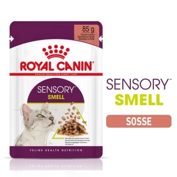 ROYAL CANIN SENSORY Smell In Soße Für Wählerische Katzen 12x85g 1 ROYAL CANIN SENSORY Smell In Soße Für Wählerische Katzen 12x85g