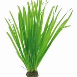 DENNERLE Wasserpflanzen-Set "100 L Basic" -Tierbedarf Fach Geschäfte 392b88092e76b92b8e939b65d5105ffb2d32c95e 8abbb3809b99750a351f6778a59c669826076daf