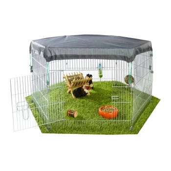 AniOne Freigehege Für Jungtiere 2 AniOne Freigehege Für Jungtiere – Bild 2