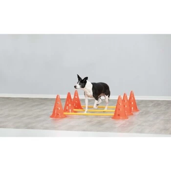 Trixie Dog Activity Hindernisse Ø23x30cm 2 Trixie Dog Activity Hindernisse Ø23x30cm – Bild 2