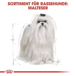 ROYAL CANIN Maltese Adult 1,5 Kg 1,5 Kg 10 ROYAL CANIN Maltese Adult 1,5 Kg 1,5 Kg -Tierbedarf Fach Geschäfte 3eeb7f69af147bc5f04c404f6669c7f0a526e99c 337199db195a0656d970493cf83194fff6f65266