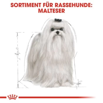 ROYAL CANIN Maltese Adult 1,5 Kg 1,5 Kg 5 ROYAL CANIN Maltese Adult 1,5 Kg 1,5 Kg – Bild 5