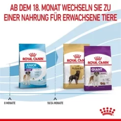 ROYAL CANIN Giant Junior 15 Kg -Tierbedarf Fach Geschäfte 3f0f320cf0514c60e2d60f64a366dd987cd444ca 3182550707077 7