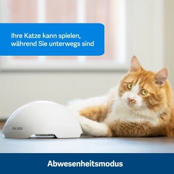PetSafe Automatisches Katzenspielzeug Fox Den 5 PetSafe Automatisches Katzenspielzeug Fox Den – Bild 5