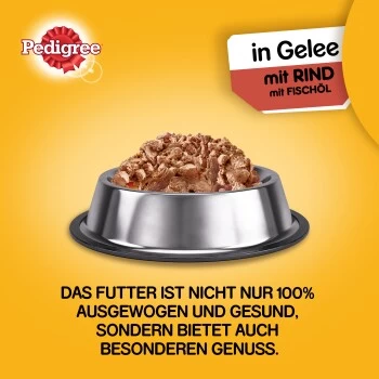 Pedigree Adult Plus 12x800g Rind Mit Fischöl, In Gelee 4 Pedigree Adult Plus 12x800g Rind Mit Fischöl, In Gelee – Bild 4