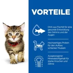 Hill's Science Plan Kitten Multipack Mit Huhn Und Seefisch 12x85 G 14 Hill's Science Plan Kitten Multipack Mit Huhn Und Seefisch 12x85 G -Tierbedarf Fach Geschäfte 463b640dbed78dd738a2b07fd8aec2aae4b06733 52742211503 5