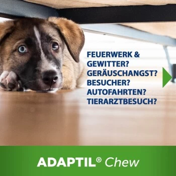 ADAPTIL Chew 30 Stück Anti Stress Snack 8 ADAPTIL Chew 30 Stück Anti Stress Snack – Bild 8